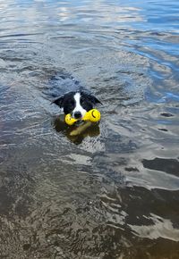 Yuna mit Spieli im Wasser