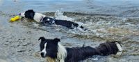 Yuna und Samy im Wasser